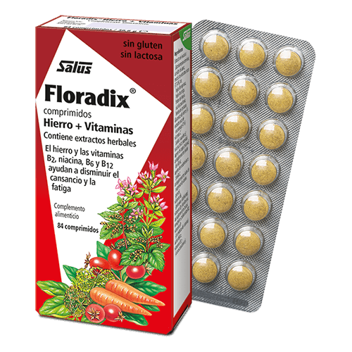 Floradix 84 comprimidos 