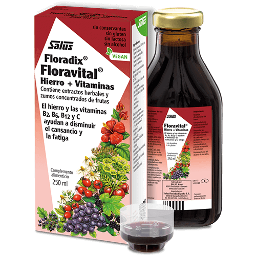 Floradix-Floravital 250 ml 